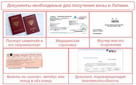 Визовый или визовой экземпляр как правильно Визовый или визовой экземпляр как правильно