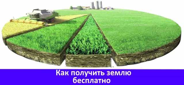 Подготовка документов для подачи заявки