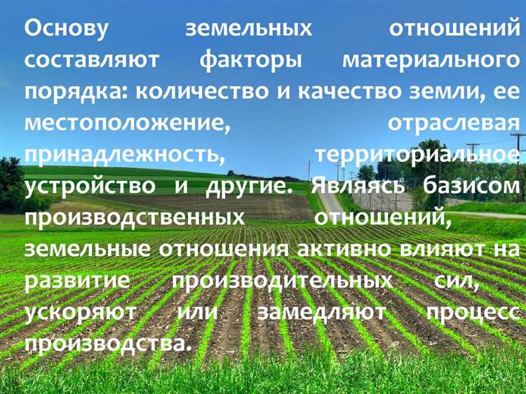 Влияние севооборота на структуру и плодородие почв