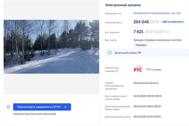 Порядок подачи заявки через аукцион или торги