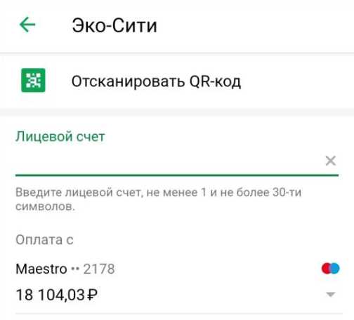 Выбор способа оплаты: карта, электронный кошелек или банковский перевод