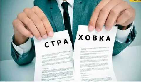 Сроки рассмотрения заявления и получения возврата