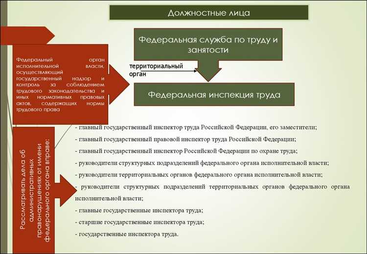 Административные штрафы за незаконную вырубку леса