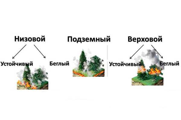 Мониторинг и анализ динамики распространения огня