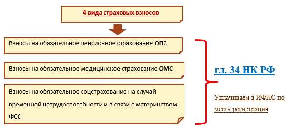 Ответственность за неуплату страховых взносов