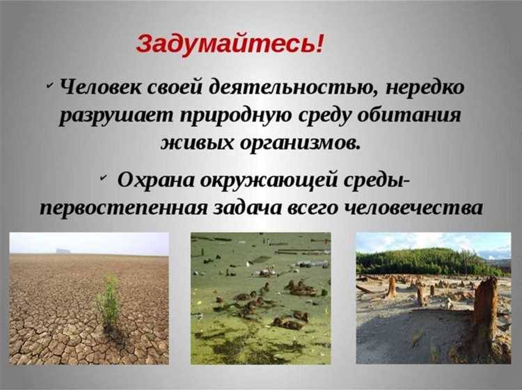 Загрязнение почвы и методы локализации