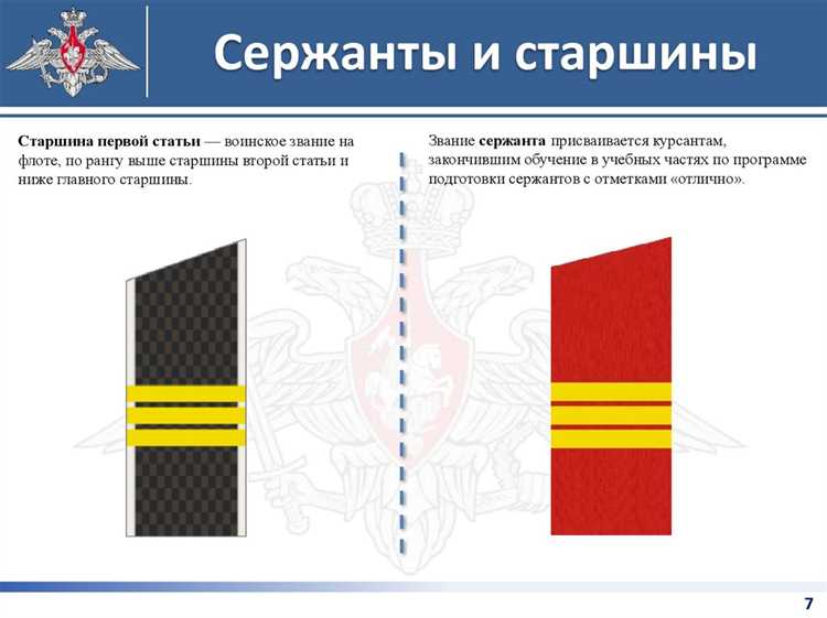 Координация действий с командиром роты и смежными подразделениями