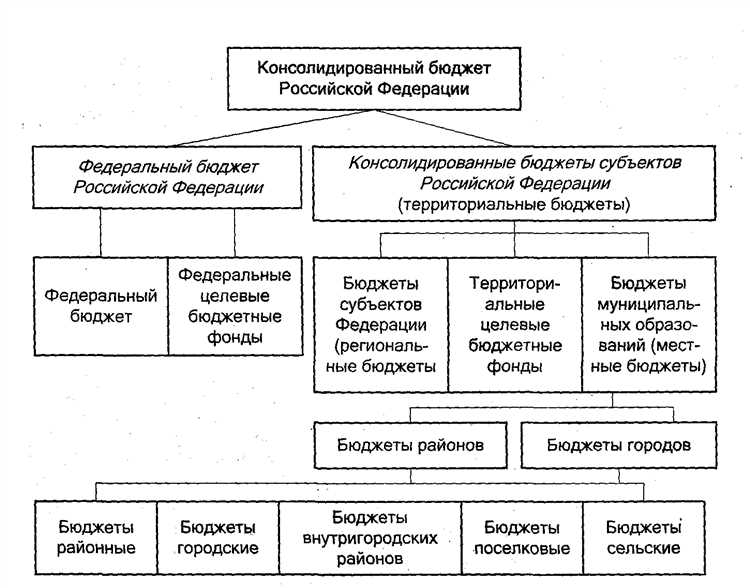 Что такое бюджетные ассигнования и как они формируются