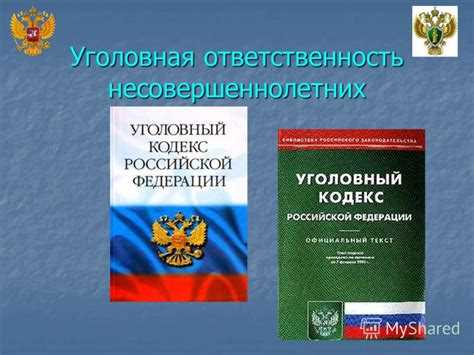 Влияние международных стандартов на внутреннюю политику государства