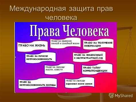Как использовать процедуру Комитета по правам человека ООН