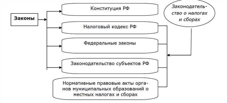 Формы и сроки предоставления информации