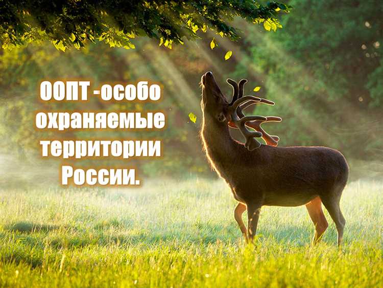 Как ведутся научные исследования без присутствия туристов