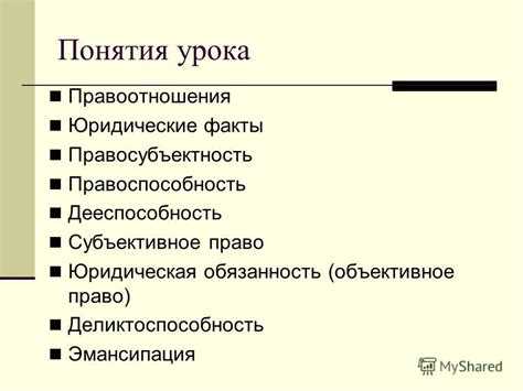 Какой смысл юристы вкладывают в понятие правоотношение