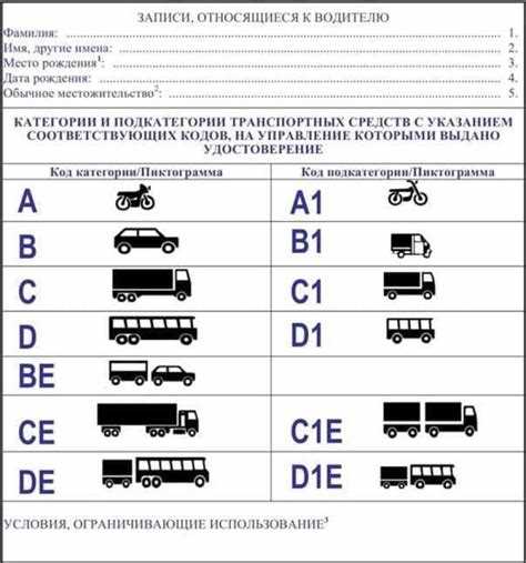 Особенности категории D1E: кто может получить права
