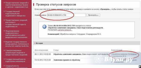 Категория для органов государственной власти и муниципалитетов