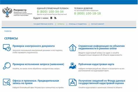 Когда указывать категорию «Представитель» и как подтвердить полномочия