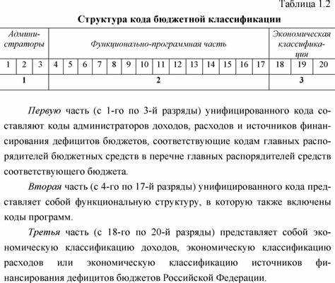 Изменения в кодах БК и их учет в финансовых документах
