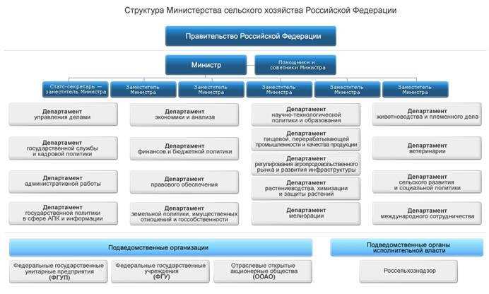Кто организует работу правительства рф Кто организует работу правительства рф