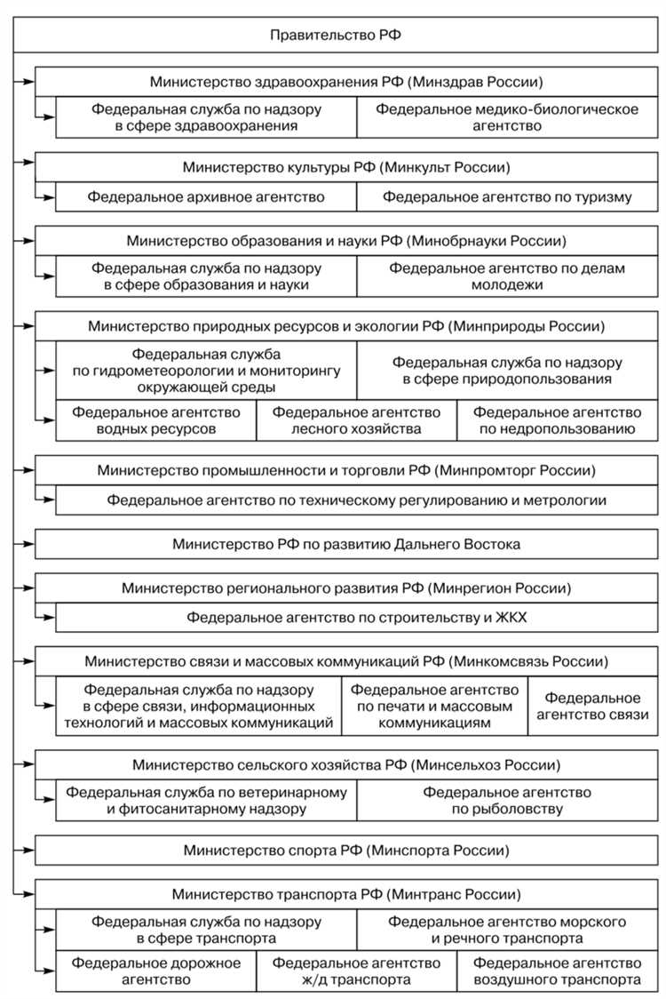 Правительство России: структура и полномочия