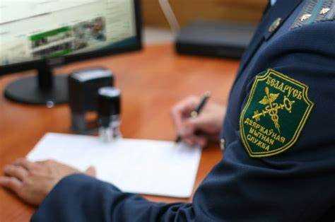 В случае утраты или отсутствия информации о номере декларации можно обратиться напрямую в таможенный орган, предоставив реквизиты отправки или счета-фактуры. Там специалисты смогут определить номер ТД по дате подачи, грузоотправителю и другим идентифицирующим данным. Этот способ особенно полезен при спорных ситуациях или проверках.