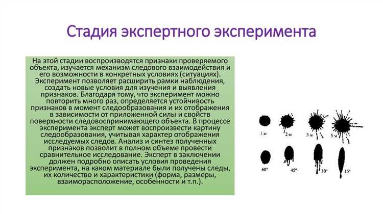 С чего начинается 1 этап экспертизы С чего начинается 1 этап экспертизы