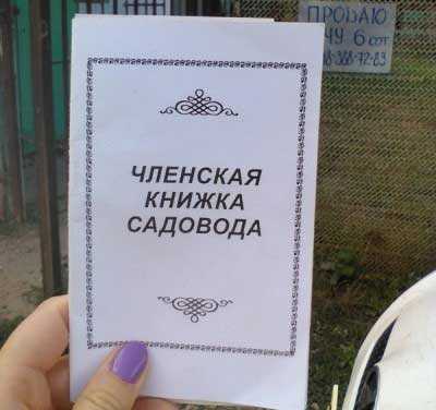 Сезонные сроки посадки деревьев и овощей