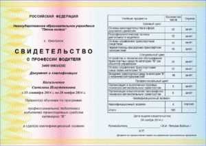 Применение справки в образовательных учреждениях