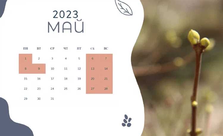 Как рассчитать зарплату за май 2023 года